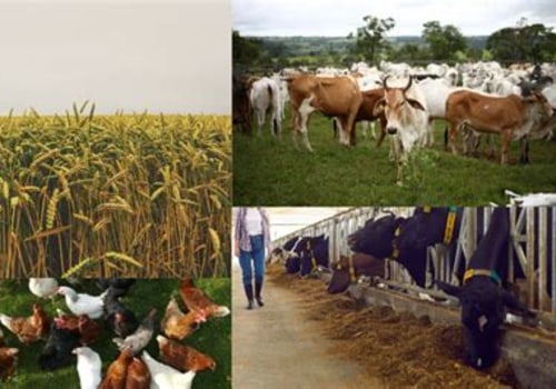 The Role of Animal Husbandry in Sustainable Food Production