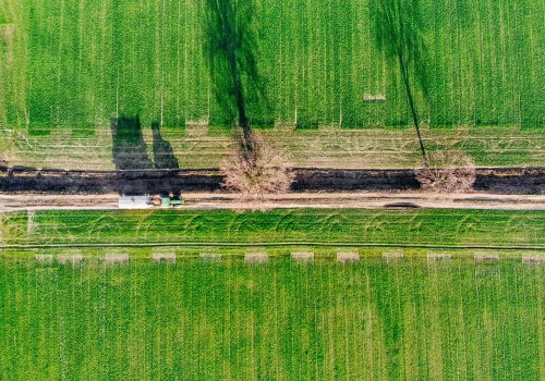 Understanding Tree Care Costs in Warminster