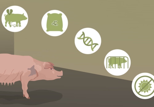 Exploring the Effects of Globalization on Animal Husbandry Practices