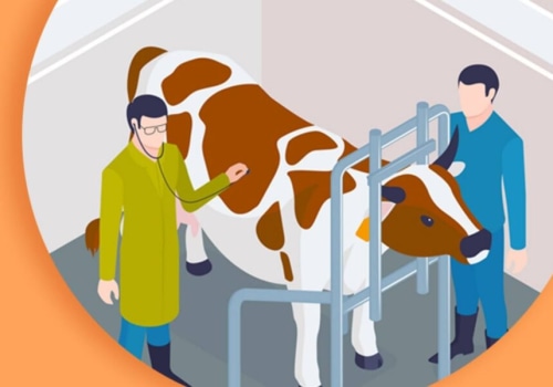 Understanding Common Livestock Diseases and Their Management in Animal Husbandry