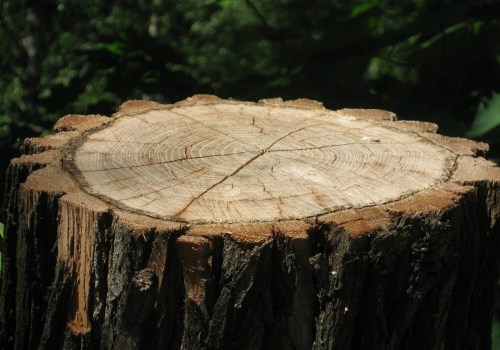 Enhance Animal Husbandry with Expert Stump Removal in Virginia Beach