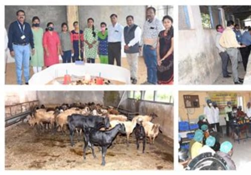 The Role of Animal Husbandry in Promoting Rural Development